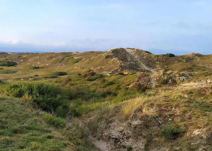 Feriehus 4 Bedroom Pet Friendly In *