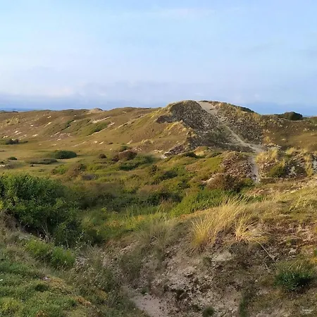 Dom wakacyjny 4 Bedroom Pet Friendly In *