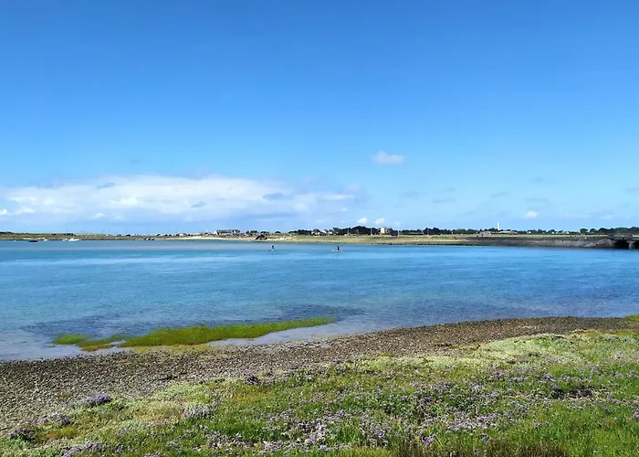 4 Bedroom Pet Friendly In *